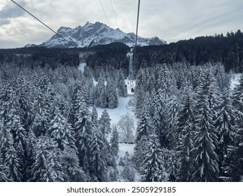 View of snow capped evergreen forest on the gondola ride up to Mount Pilatus in Switzerland - Powered by Shutterstock