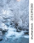 View of the snow forest rivers. Winter forest river landscape. Snowy river scene. In the area of the Saut Deth Pish waterfall during autumn and a snowy day, located in the Aran Valley, Pyrenees