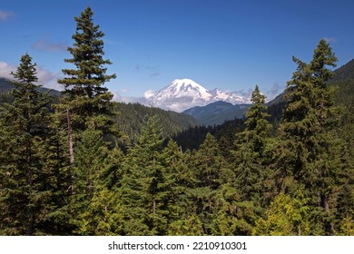 View Of The Snow-capped Volcanic Cone Of Mount Rainier, Washington, USA