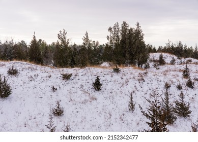 A View Of The Snow-covered Pinery Provincial Park, Ontario, Canada, Lake Huron, Great Lakes In Winter