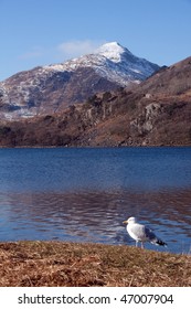 View To Snowdon From Llyn Gwynant With Snow On The Peaks