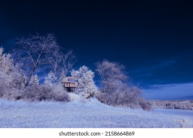 A View Of A Snowy Area In Winter With Grass And Trees Covered With Frost Under The Blue Sky And A Small House In The Trees