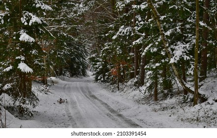 view of the snowy landscape, South Bohemia, Czech Republic