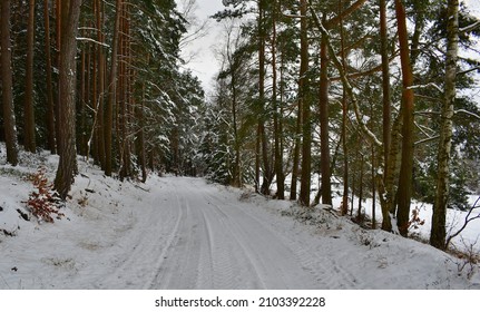 view of the snowy landscape, South Bohemia, Czech Republic