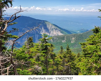 view of some cliffs though trees on a mountain 