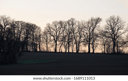 Similar – behind tree gate right