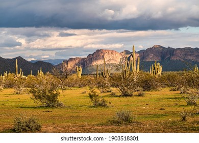 View Sonoran Desert Near Phoenix Arizona Stock Photo 1903518301 ...