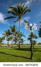 View Of South Miami Beach During Christmas.