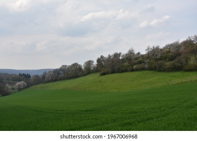 The view at the spring fields.