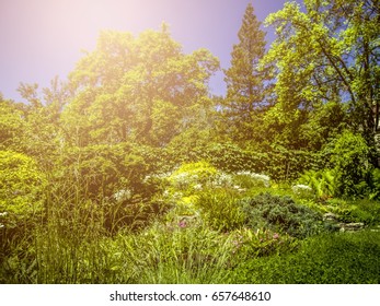 view of spring garden in the sunlight