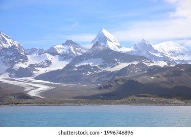 View Of St Andrews Bay, South Georgia