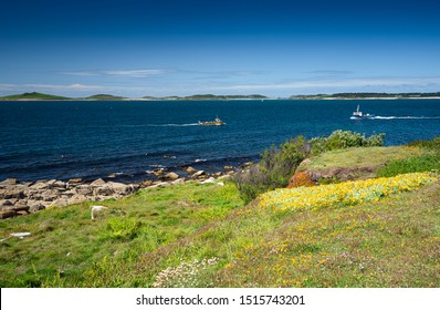 View From St Mary's Towards Samson Island, Isles Of Scilly, UK