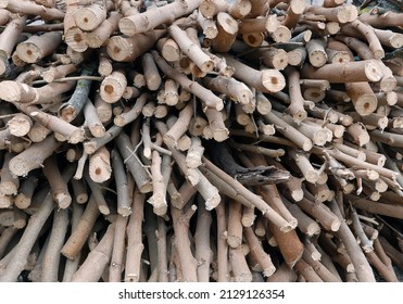 view of a stack of thin wooden logs in the countryside - Shutterstock ID 2129126354