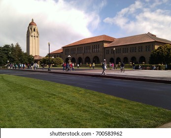 View Of Stanford University Campus From Palm Drive