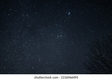 A view of Stars and Milky Way at midnight with some gloomy trees