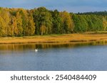 View of Stawy Echo (Echo Ponds), a part of Roztoczanski National Park, Poland