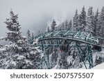 view of a steel structure on top of a mountain with pine trees covered in snow