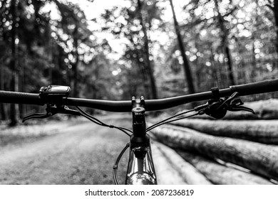 View of the steering wheel from the electric mountain bike in the forest with trees in front, forest path in the left side and tree trunks on the right side