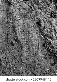 View of a step, and a footmark.