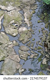 View Of Still Waters Of River With Rocks Seen From Above