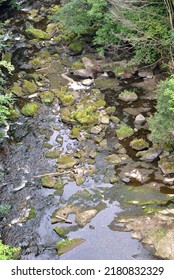 View Of Still Waters Of River With Rocks Seen From Above 