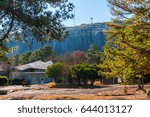 View of Stone Mountain through the branches of the pine trees in autumn sunny day, Georgia, USA