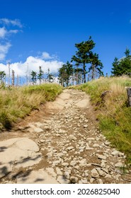 View Of The Stone Path Uphill