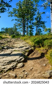 View Of The Stone Path Uphill