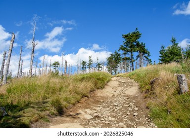 View Of The Stone Path Uphill