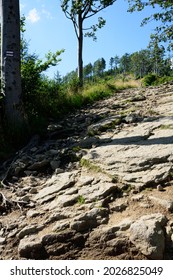 View Of The Stone Path Uphill