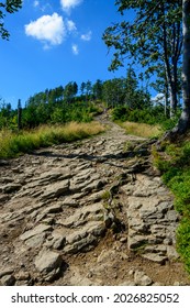 View Of The Stone Path Uphill