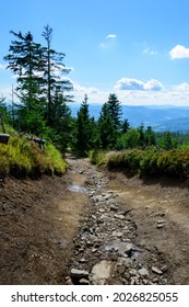 View Of The Stone Path Uphill