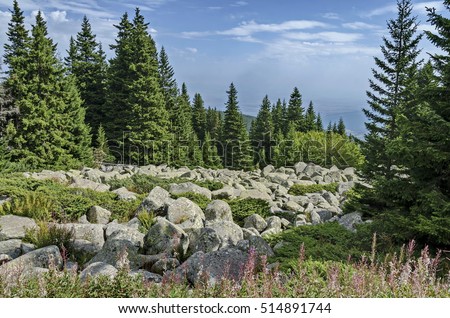 View of stone river big granite stones on rocky river from a distance in  Vitosha national park mountain, Bulgaria