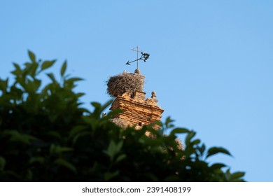 View of stork feeding two baby storks in nest built on church bell tower crowned by weather vane.