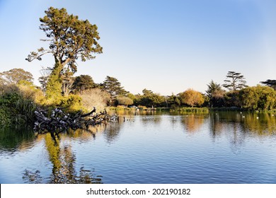 View Of Stow Lake At San Francisco Golden Gate Park