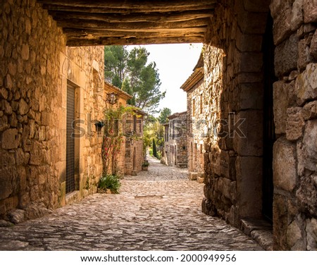 view of a street of an old village, ground and walls made of stones, Siurana, Catalunya, Spain