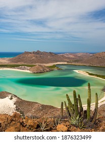 3,825 Baja california desert Images, Stock Photos & Vectors | Shutterstock