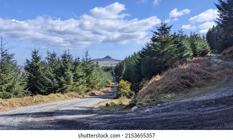 View of Sugarloaf Mountain from Crone Woods, Glensoulan Valley, County Wicklow, Ireland 