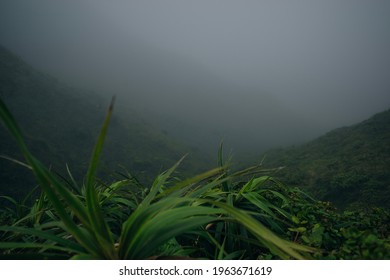 View from the summit of the Koolau Mountain range on the island of Oahu in Hawaii. High quality photo