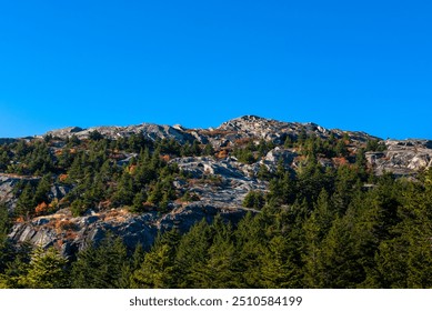 View of the summit of mount Monadnock by a sunny fall day