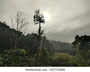 view of sun setting with trees