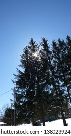 a view of the sun shining  through  the trees on a cold winter day