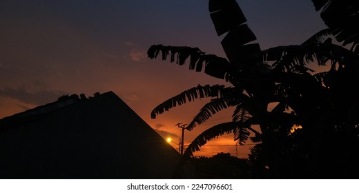 A view of sunset with bananas trees silhoutte and house silhoutte in purple and orange sky