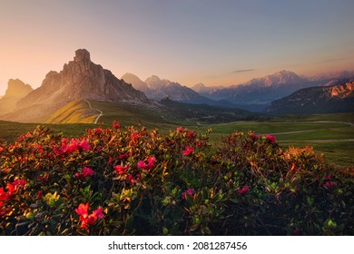 view of sunset in summer on Passo di Giau with mount Ra Gusela on background and rhododendrons on foreground, Colle Santa Lucia, Dolomites, Italy