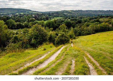 The View Of Surrey Hills Area Of Outstanding Natural Beauty (AONB), From Box Hill, Along The Stepping Stone Walk. 