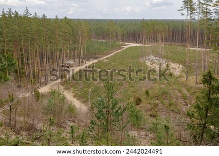 View to the surrounding forest from Zvirgzde white dune nature trail in Vecumnieki in March in Latvia