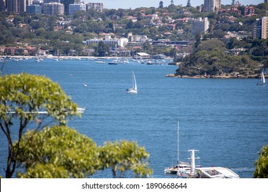 View of Sydney harbour and CDB on a beautiful sunny blue sky day - Shutterstock ID 1890668644