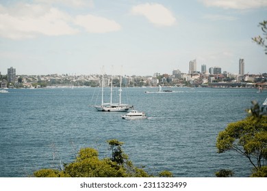 view Sydney Harbour National Park Australia - Shutterstock ID 2311323499