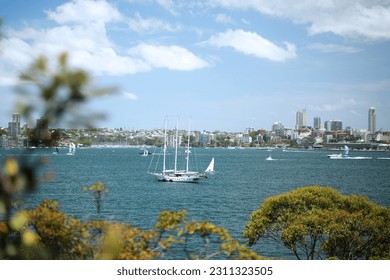 view Sydney Harbour National Park Australia - Shutterstock ID 2311323505