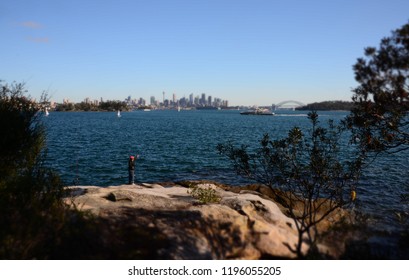  View Of Sydney Skyline And Sydney Harbour From Nielsen Park.